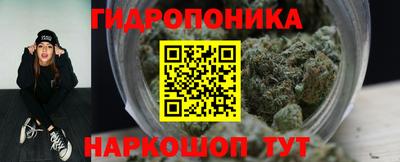 твердый Сланцы