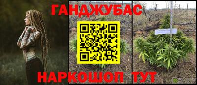твердый Сланцы