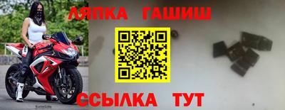 твердый Сланцы