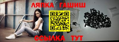 твердый Сланцы